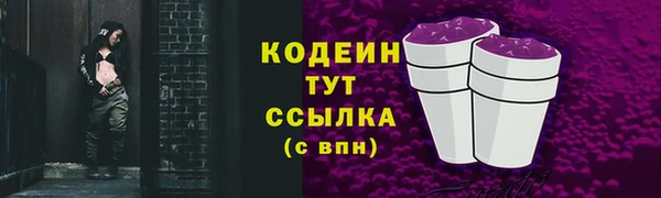 соль ск Новозыбков