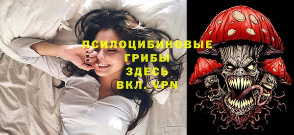 меф Новодвинск
