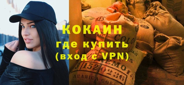 соль ск Новозыбков