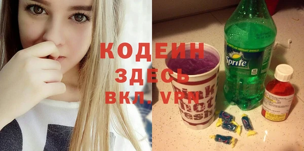 соль ск Новозыбков