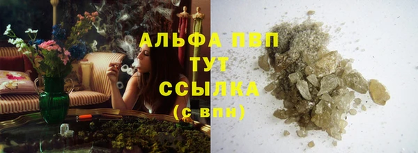 соль ск Новозыбков